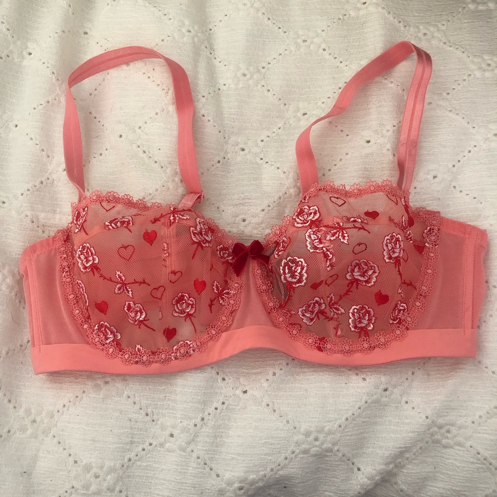 Hearts and roses embroidered bra by Understance size 34C